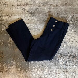 Ann Taylor Navy Skinny Pants